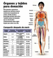 /album/fotogaleria/donacion-de-organos-png/